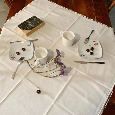 La Grulla Gris * Perales del Puerto