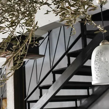 La Grulla Gris Perales del Puerto