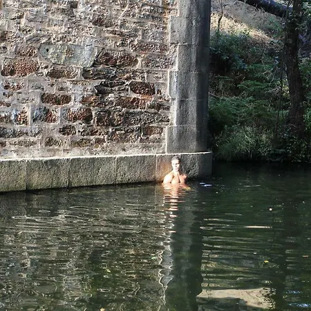 La Grulla Gris Perales del Puerto