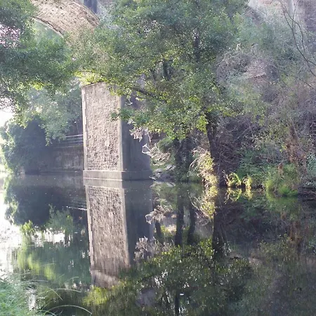 La Grulla Gris Perales del Puerto