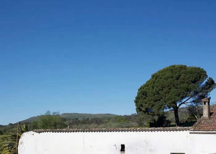 La Grulla Gris Летний дом